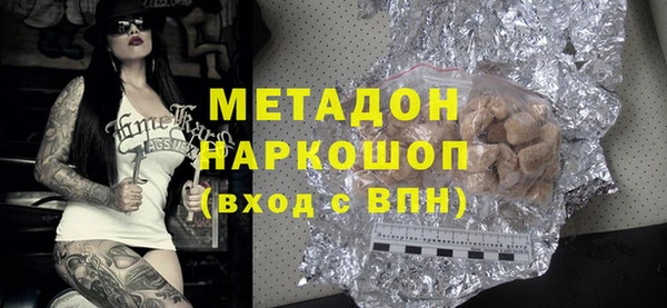 индика Алексин