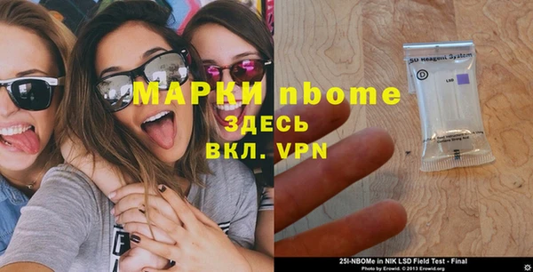 индика Алексин