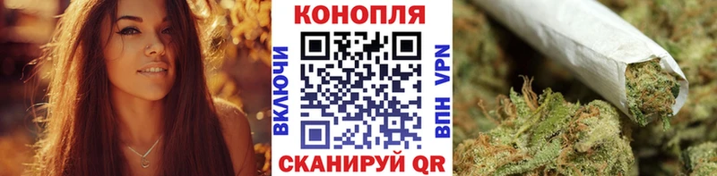 OMG Цивильск Шишки марихуана планчик